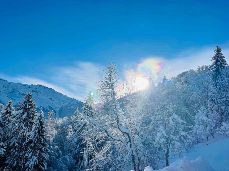 Le Chalet De Bemont Villa Samoëns Eksteriør billede