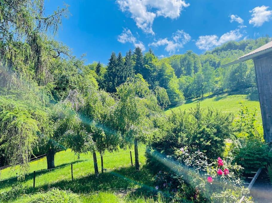 Le Chalet De Bemont Villa Samoëns Eksteriør billede