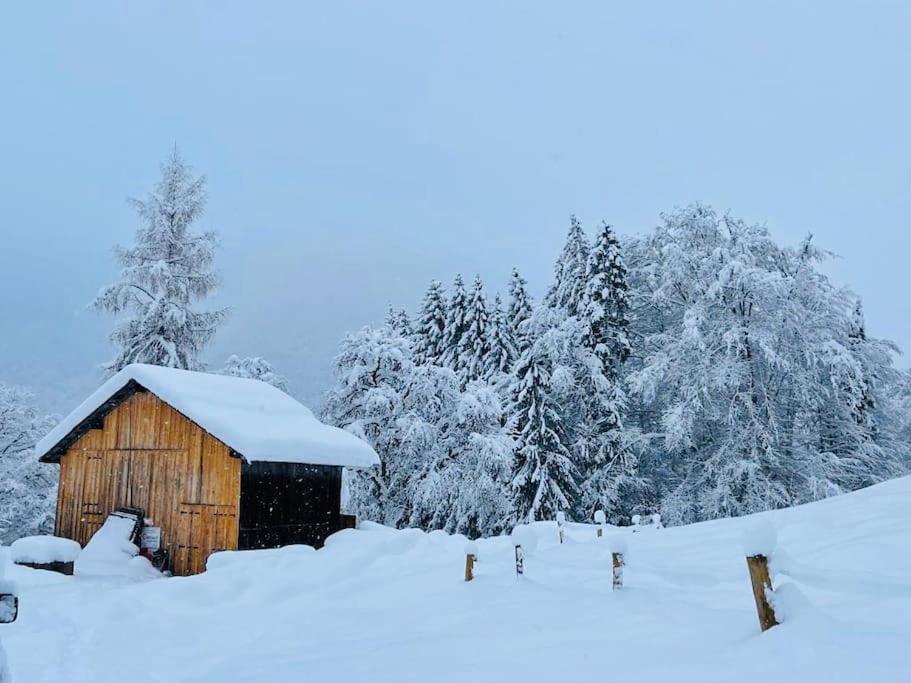 Le Chalet De Bemont Villa Samoëns Eksteriør billede