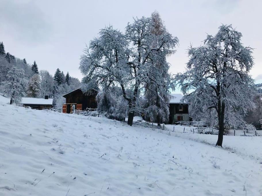 Le Chalet De Bemont Villa Samoëns Eksteriør billede