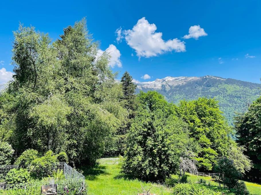 Le Chalet De Bemont Villa Samoëns Eksteriør billede